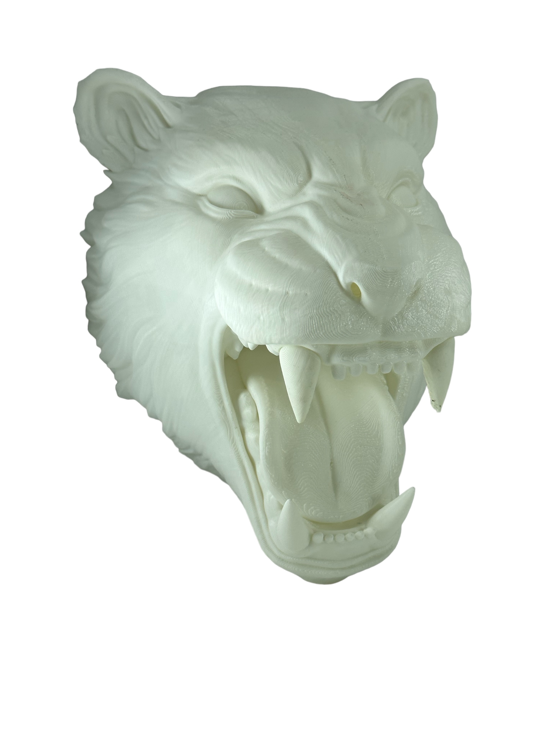 Kaplan Kafası Duvar Süsü Dekor Beyaz