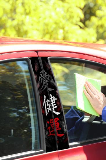 Baskılı Kapı Direk Folyo Japon