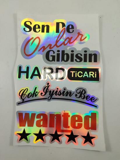 Hologram Arka Cam Sticker Etiket Model 005